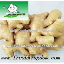 dried ginger price/ginger types/export of agriculture products